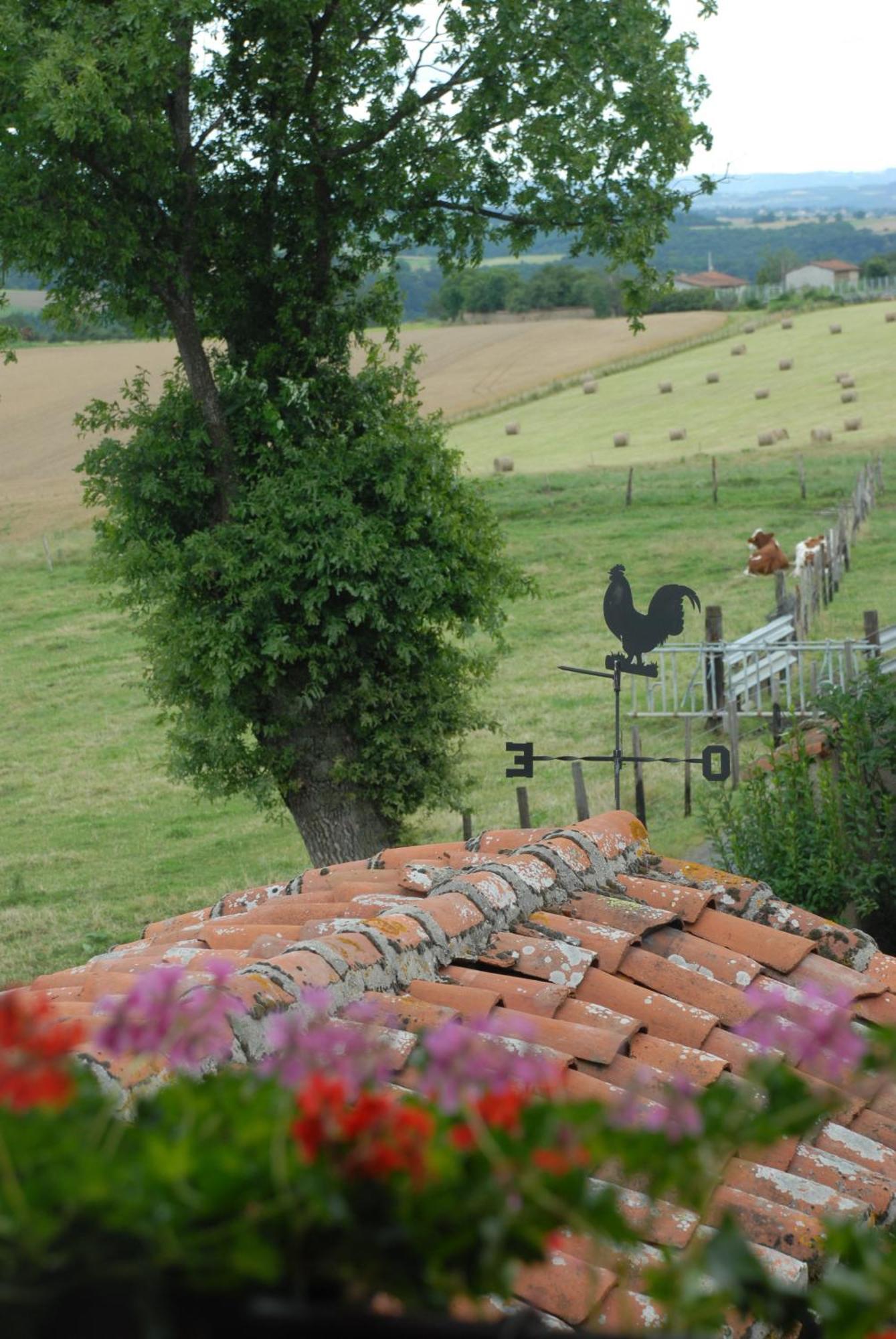 Chez Jacotte Et Elia Bed & Breakfast Saint-Galmier Exterior foto
