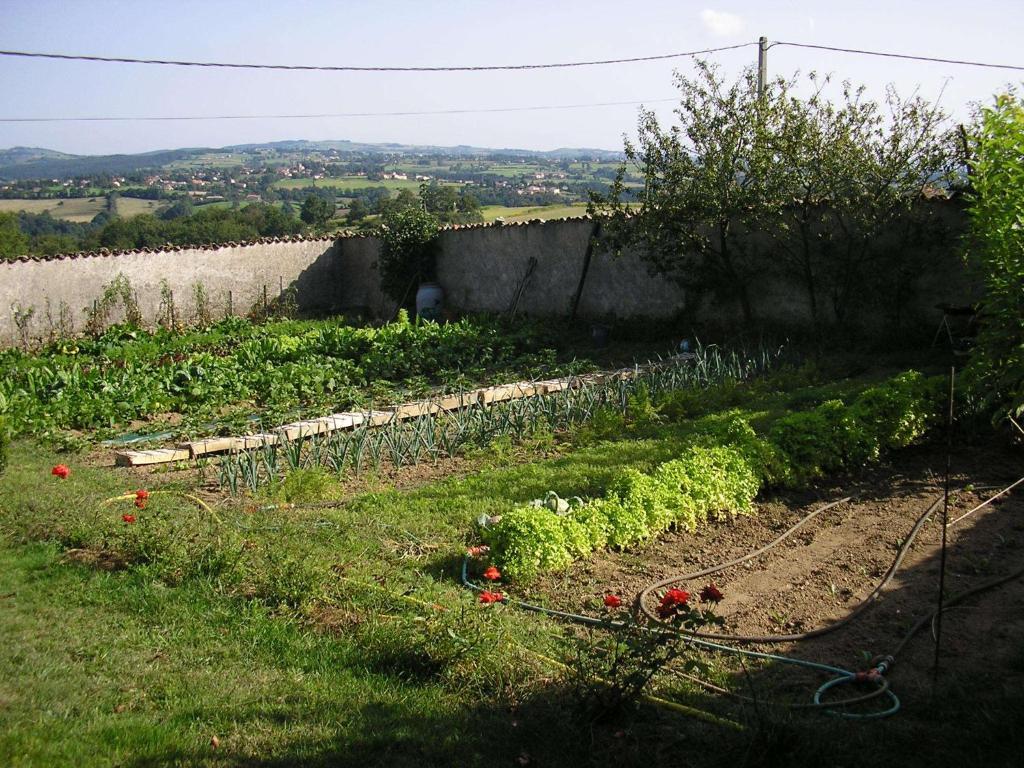 Chez Jacotte Et Elia Bed & Breakfast Saint-Galmier Exterior foto