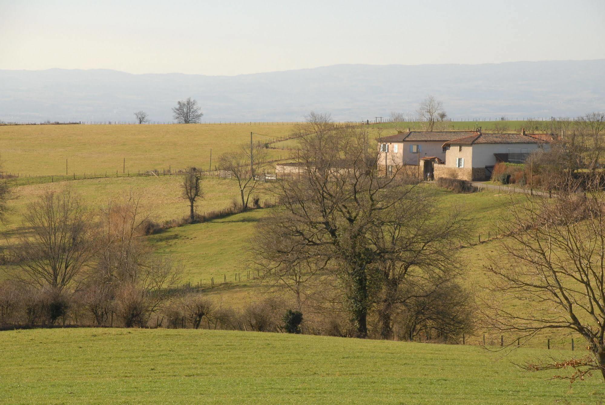 Chez Jacotte Et Elia Bed & Breakfast Saint-Galmier Exterior foto